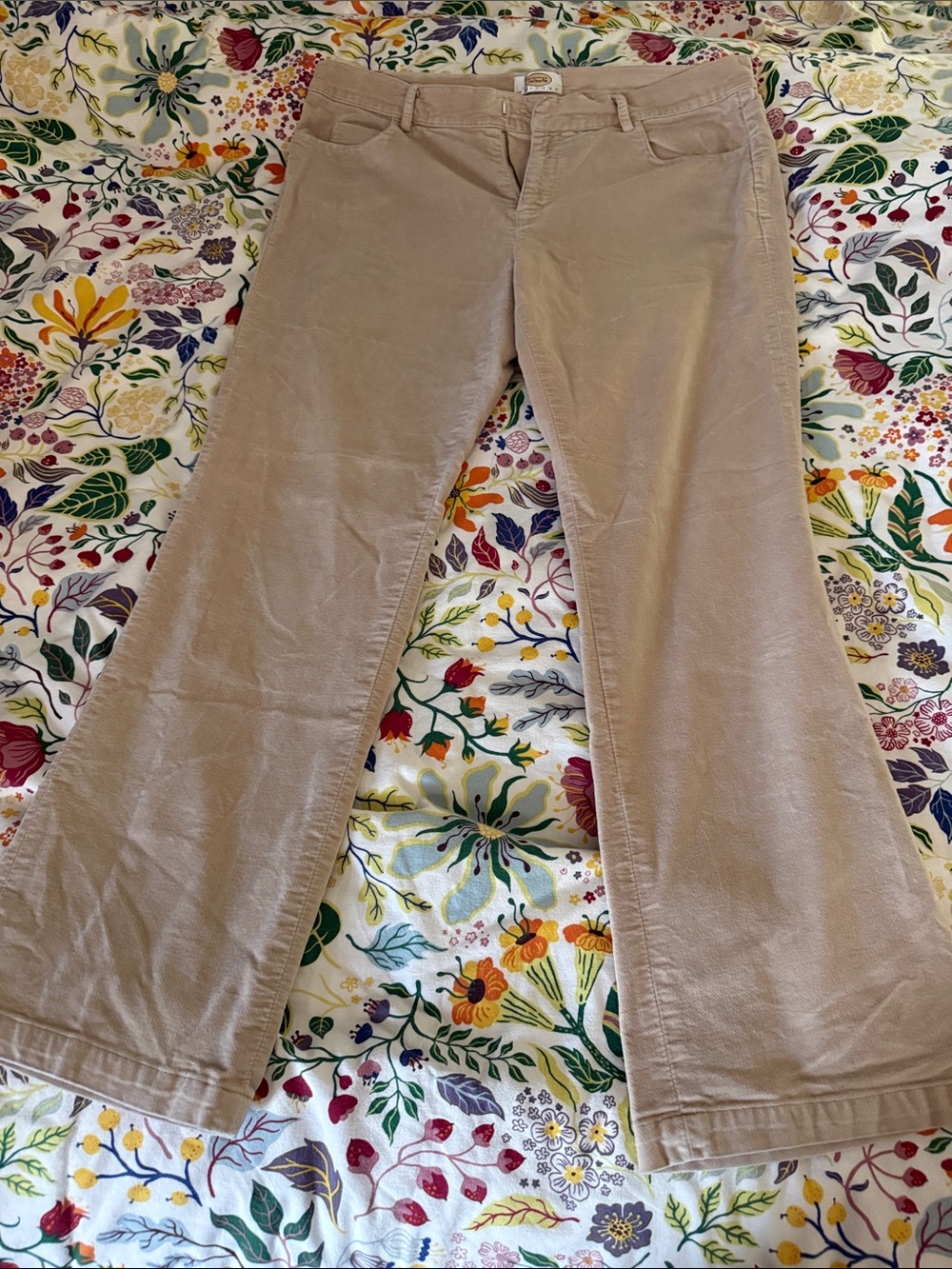 Talbots Petites Flared Velvet Jeans in Taupe